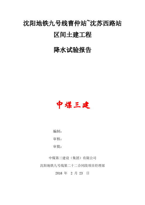 标降水试验报告