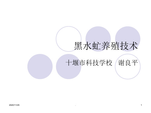 《黑水虻养殖技术》