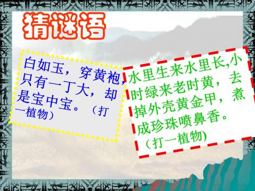 星罗棋布的氏族聚落ppt13 北师大版