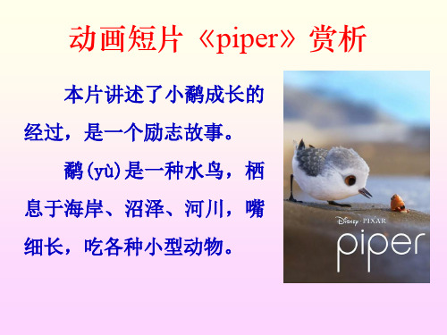 动画短片《鹬》(piper)赏析