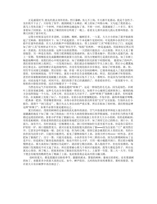 蝉声依旧