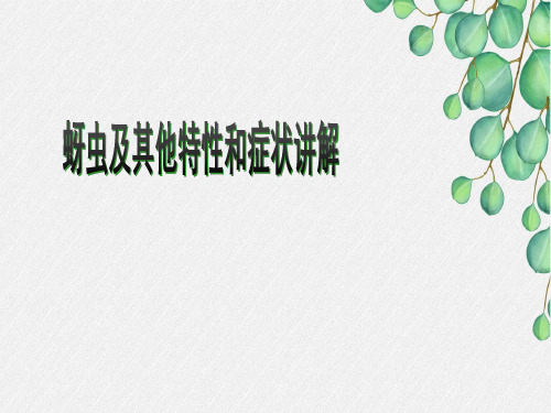 蚜虫及其他特性和症状讲解