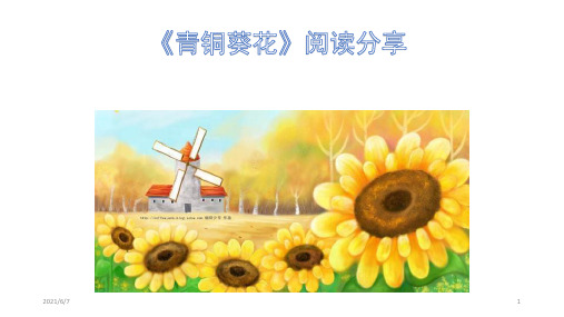 青铜葵花阅读分享PPT课件