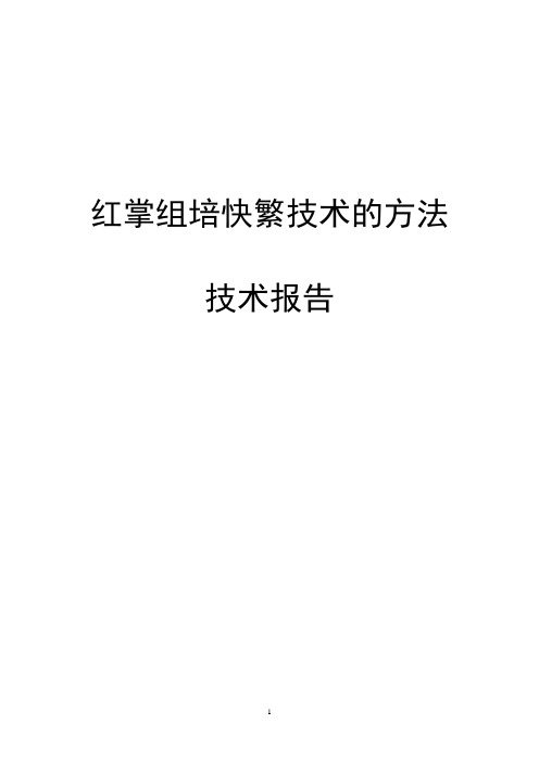 红掌组培技术