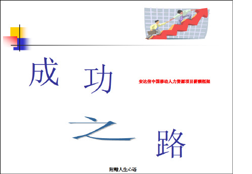 安达信中国移动人力资源项目薪酬框架