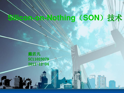 SON,SOI,IC,器件