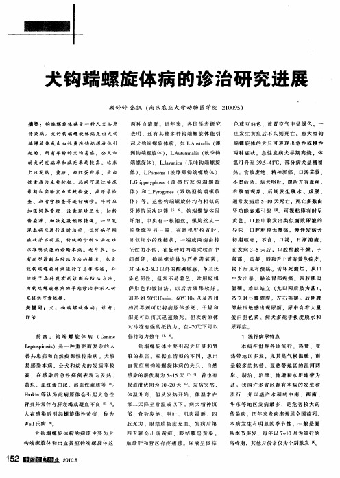 犬钩端螺旋体病的诊治研究进展
