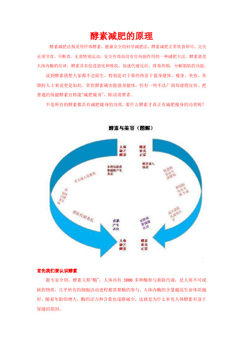 纤体酵素是怎么减肥的？