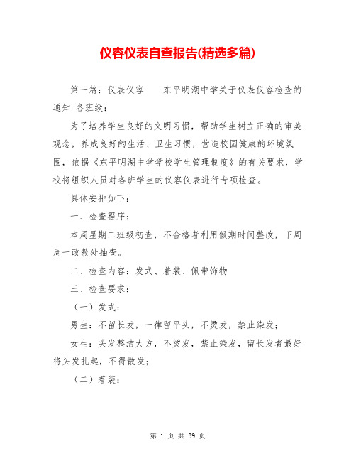 仪容仪表自查报告(精选多篇)