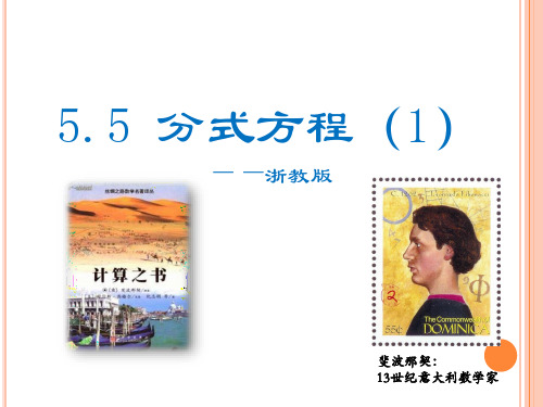 5.5分式方程(1)
