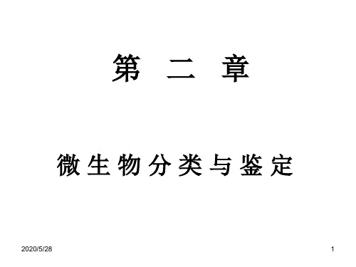 微生物分类与鉴定分