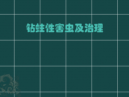 钻蛀性害虫及治理