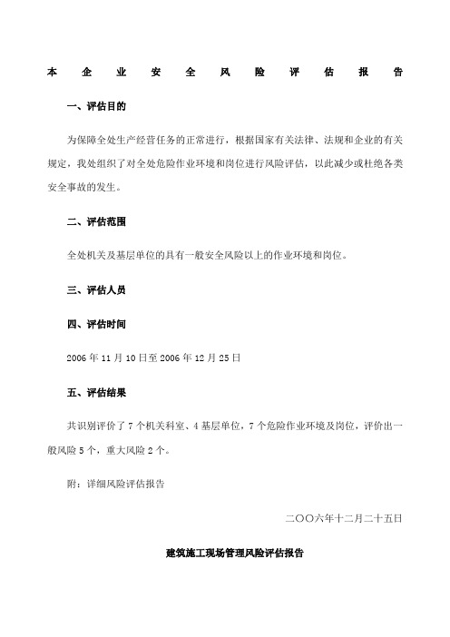 安全风险评估报告 