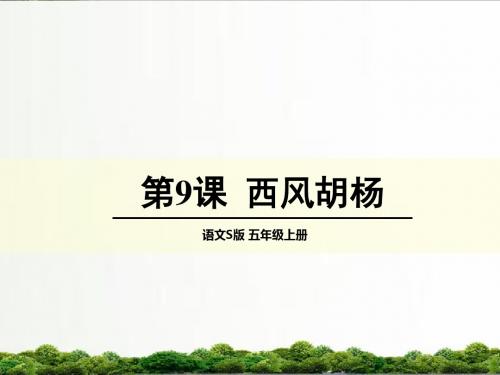 【精品】语文s版五年级小学语文上册课件：语文S版五年级上册第九课《西风胡杨》课件