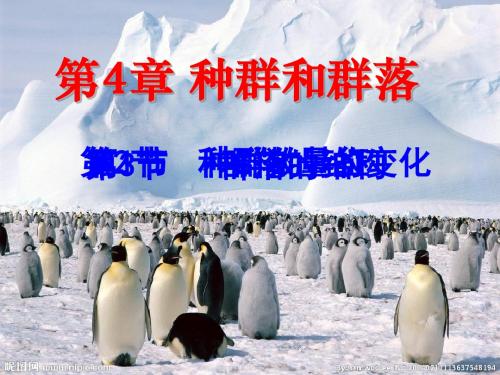 人教版教材高中生物必修三《4.3-群落的结构》教学ppt