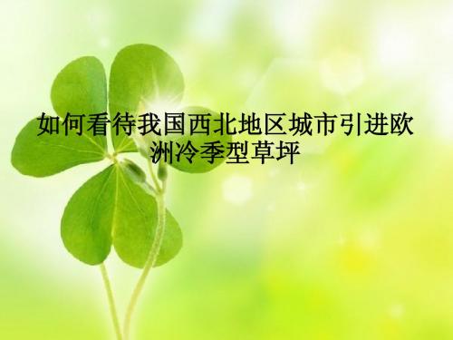 如何看待我国西北地区城市引进欧洲