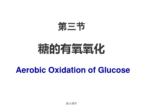 【通用】有氧呼吸及三羧酸循环.ppt