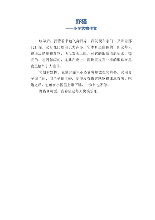 小学生优秀习作：野猫_小学状物作文