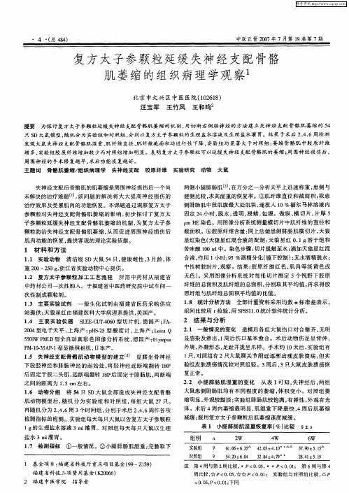 复方太子参颗粒延缓失神经支配骨骼肌萎缩的组织病理学观察
