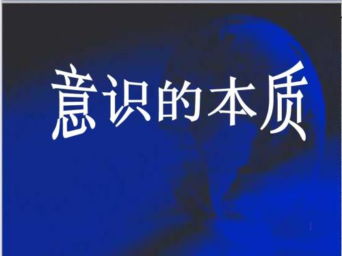 意识的本质