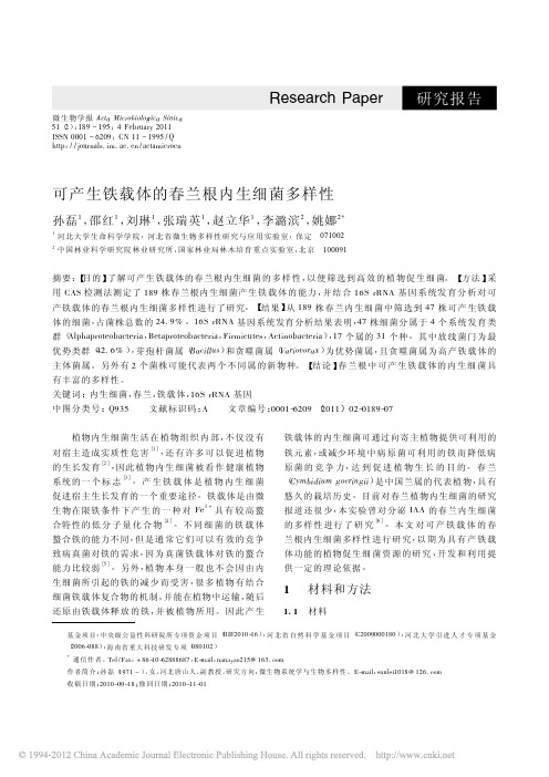 可产生铁载体的春兰根内生细菌多样性