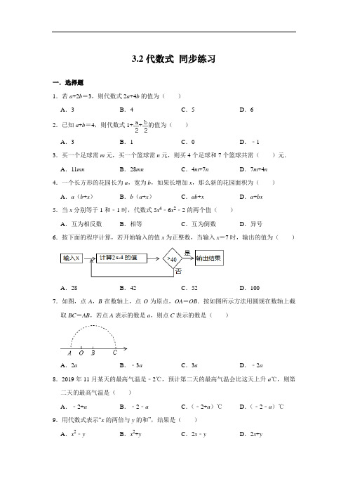 北师大版七年级上册数学 3.2代数式 同步练习(含答案)