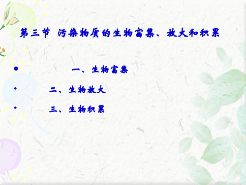 生物的富集作用ppt