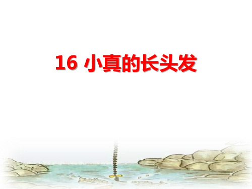 小真的长头发精品PPT课件