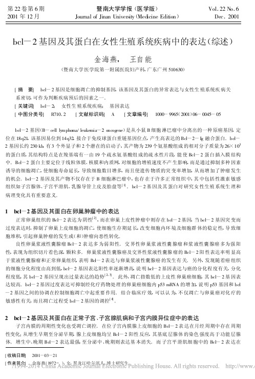 bcl_2基因及其蛋白在女性生殖系统疾病中的表达_综述_金海燕