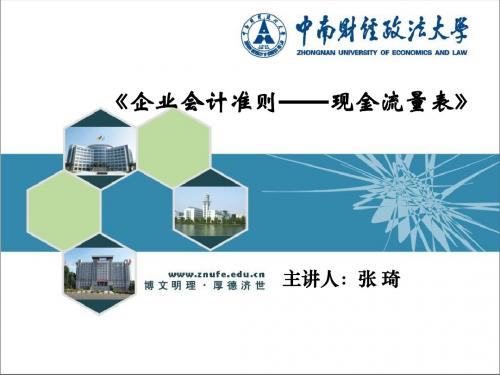 14_现金流量表-PPT文档资料