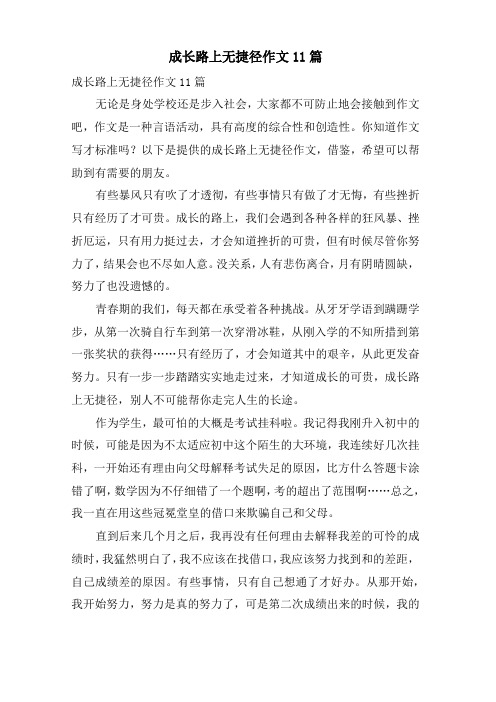成长路上无捷径作文11篇