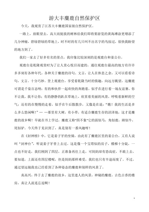 游大丰麋鹿自然保护区