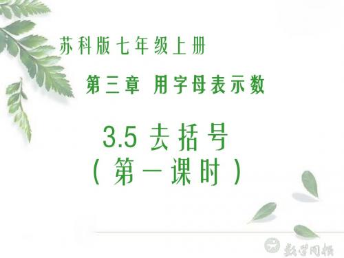 3.5 去括号(1)