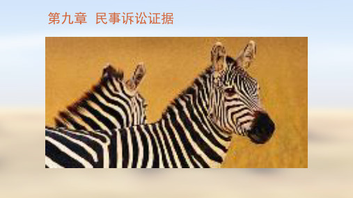 第九章 民事诉讼证据