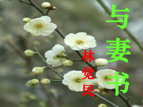 《与妻书》林觉民