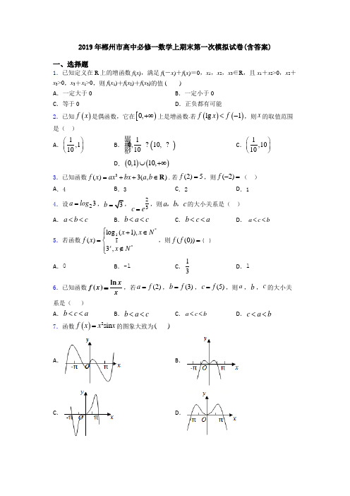 2019年郴州市高中必修一数学上期末第一次模拟试卷(含答案)