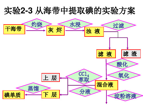 实验2-3从海带中提取碘