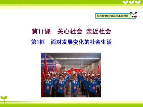 11.1面对发展变化的社会生活-1