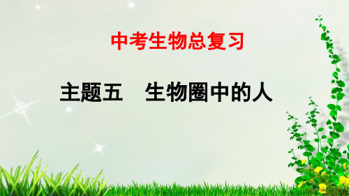 北京中考生物总复习——第11课时 人体的营养