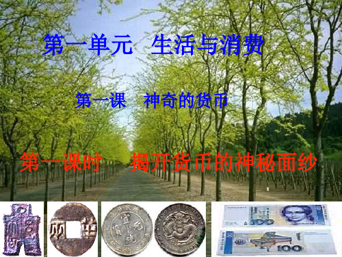 货币的基本职能
