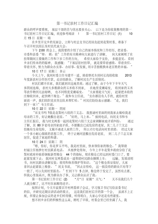第一书记驻村工作日记汇编_0