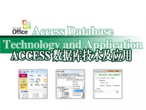 Access 第1章 数据库系统概述