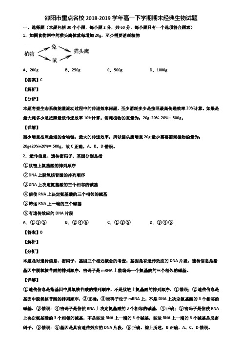 邵阳市重点名校2018-2019学年高一下学期期末经典生物试题含解析