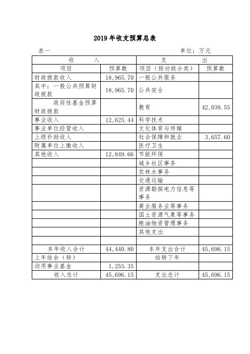 2019年收支预算总表