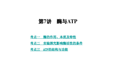 高三生物复习课件精品 第7讲 酶与ATP