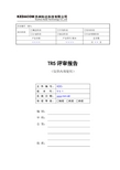TR5评审报告模板