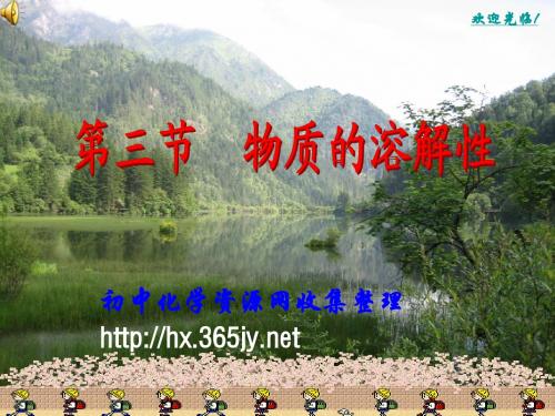 沪教版初中化学《第六章第三节 物质的溶解性》ppt课件(方案1)