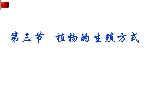 北师大版生物八上19.3《植物的生殖方式》 课件(共31张PPT)