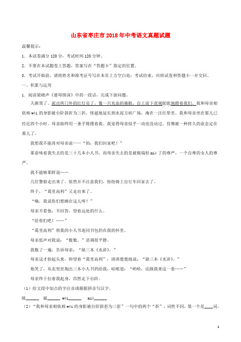 山东省枣庄市中考语文真题试题(含解析)