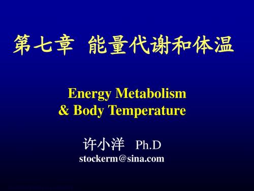 能量代谢与体温